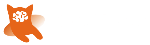 Dora Hacks logo